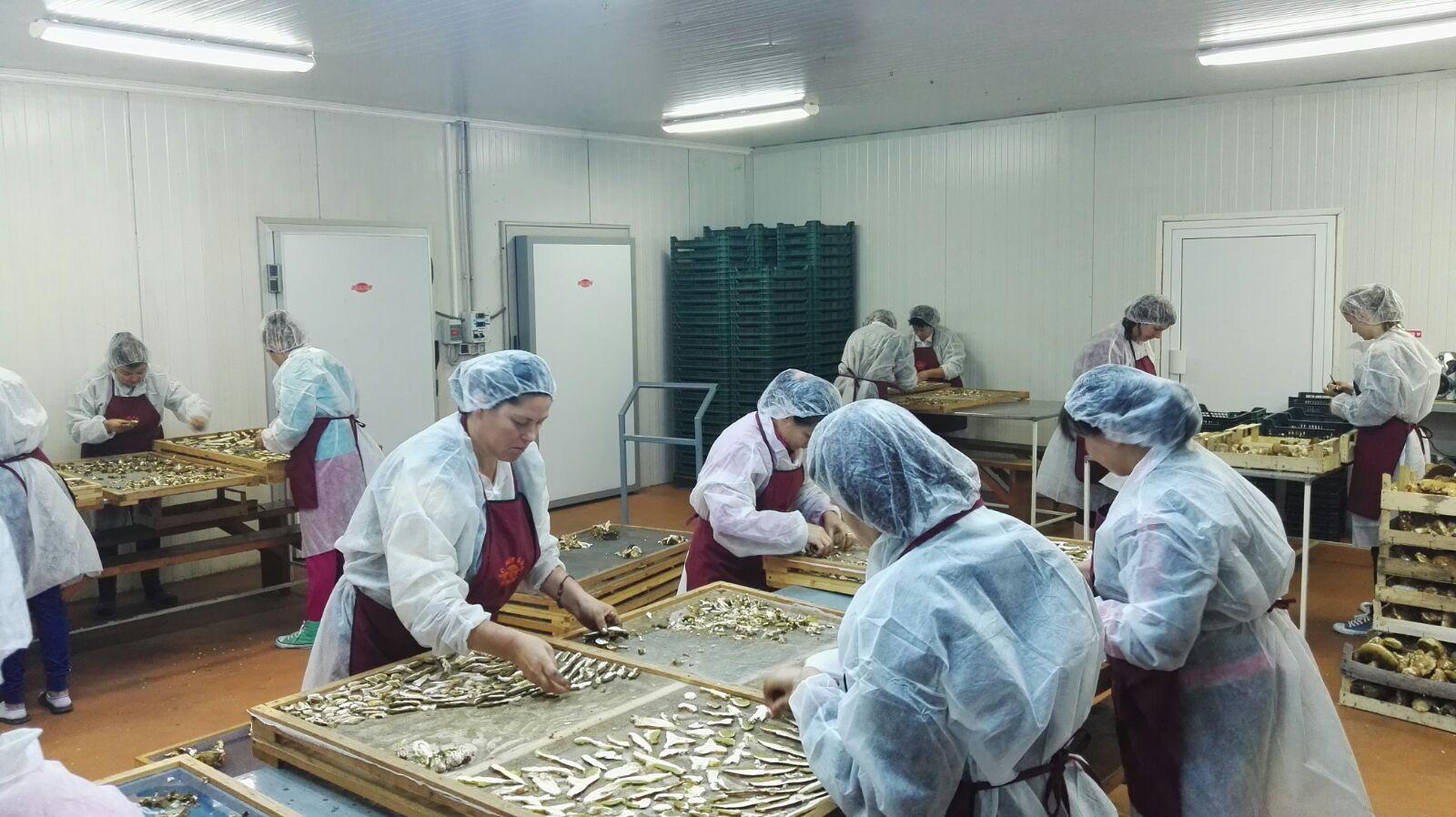 fermieri cu valoare adaugata, savoarea bunatatilor fermecate, sbf