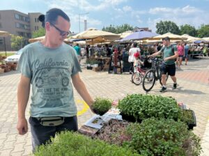 producator legume sibiu