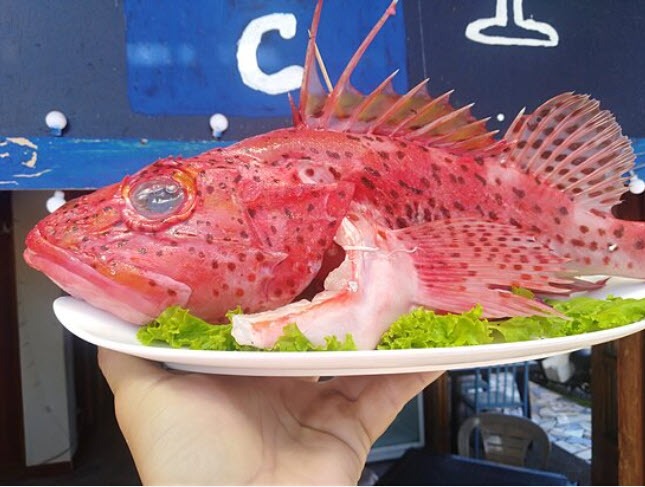 sustenabilitate alimentara, traditii gastronomice, productie alimente, import alimente, Ecuador, Galapagos, pescuit, pesti, carne de vita, foodlife, calatorii culinare