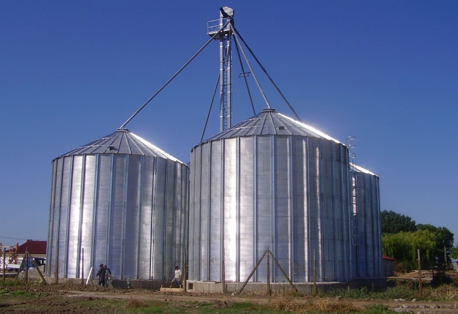 barbati, cereale, buncar, vaslui