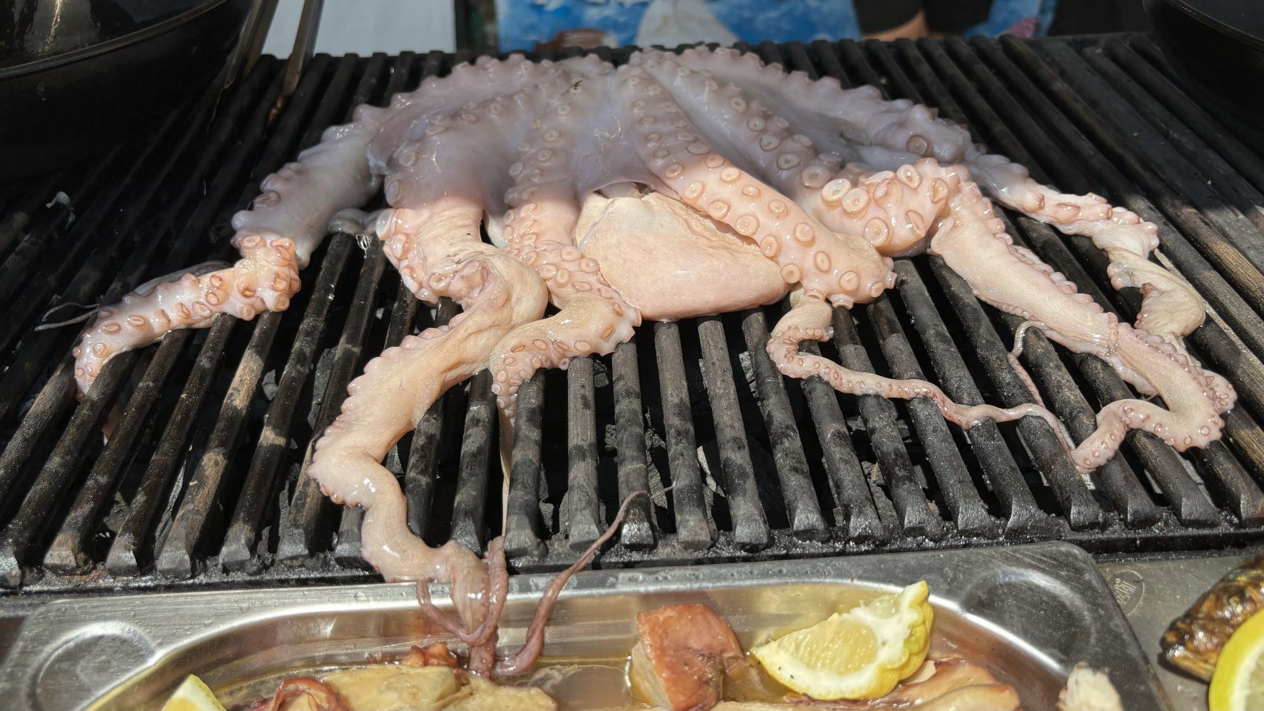 fructe de mare, Polovragi, scrumbie de Dunare, Teleorman