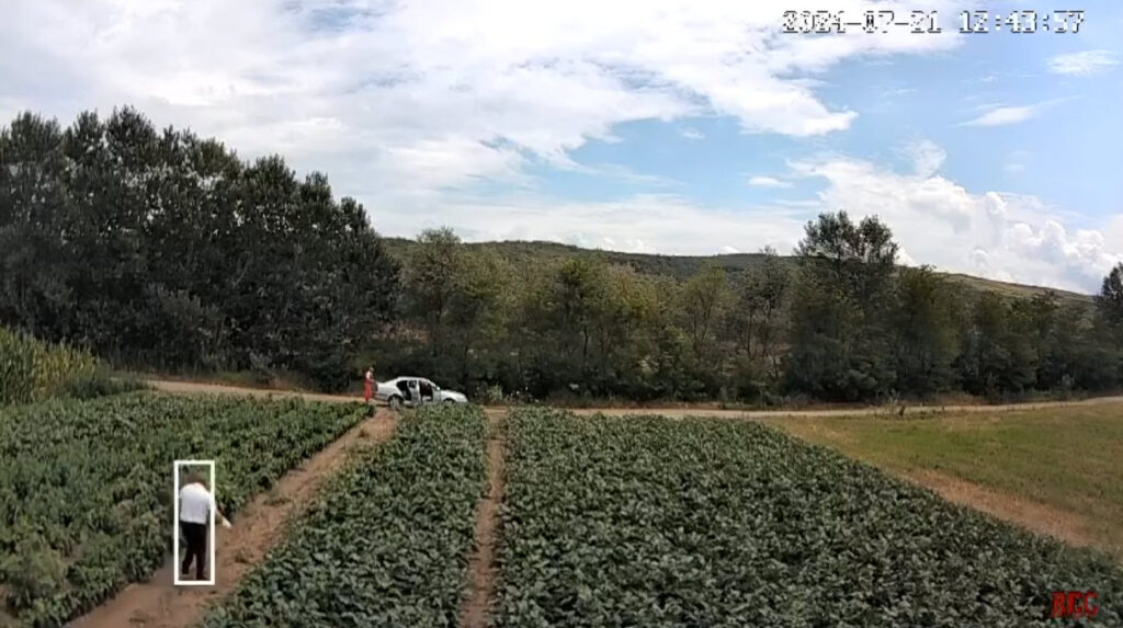 furt vinete, consilier