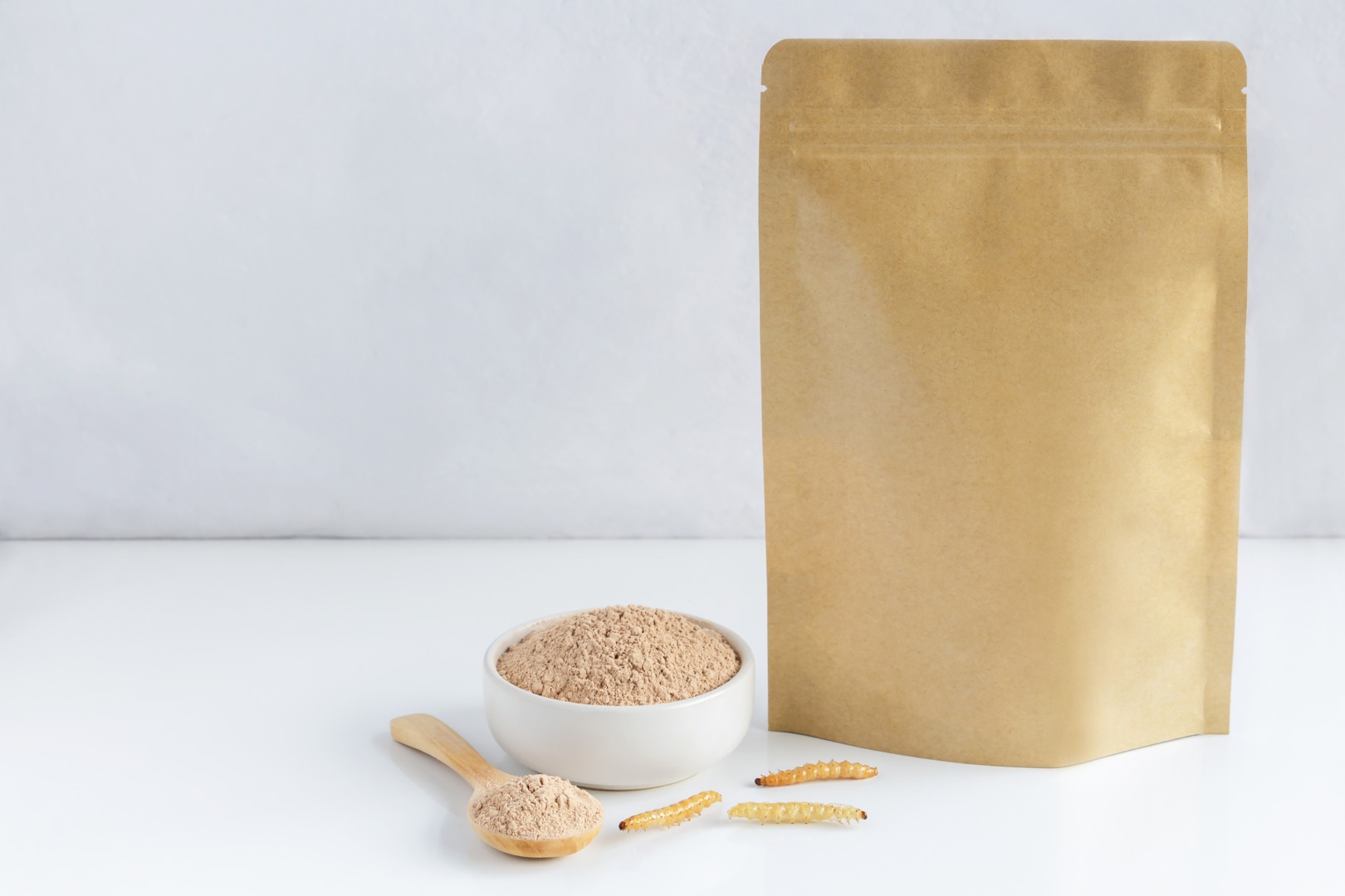 insecte, produse pe baza de insecte, faina de greieri