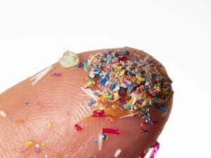 microplastice din alimente se depun pe creier sustin cercetatorii