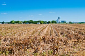 masuri pentru producatorii agricoli
