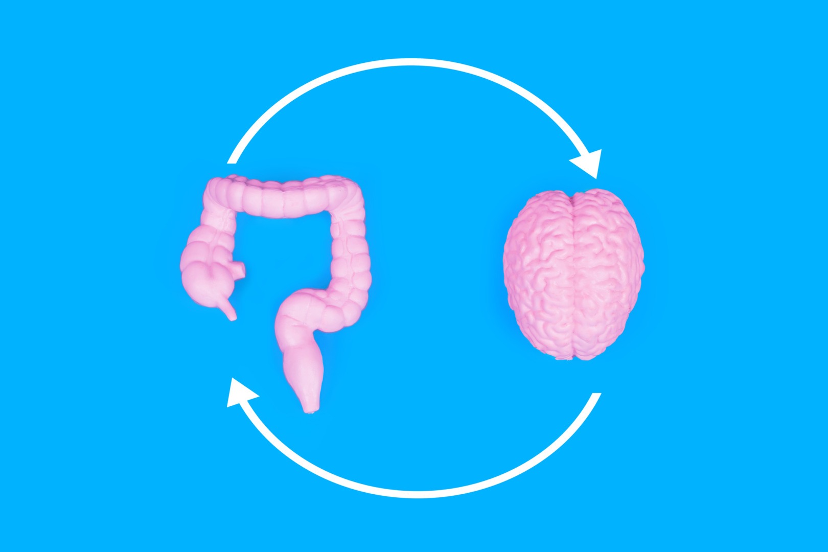 ce-inseamna-efectul-flavour-nutrient-learning-legatura-intestin-creier