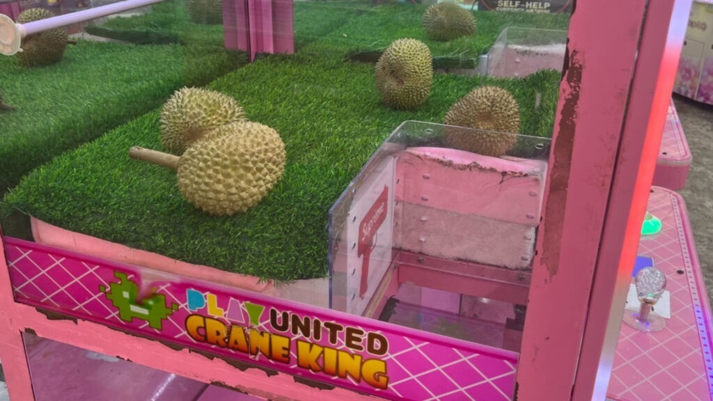 durian, aparate cu gheare, singapore, fructe