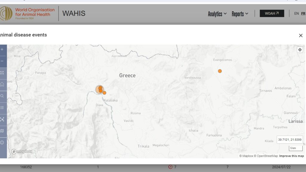 Grecia, pesta micilor rumegatoare, focare
