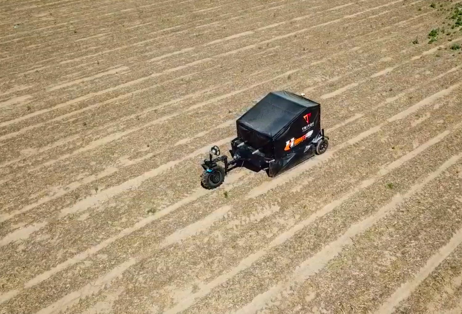 robot, sparanghel, canada, angajati