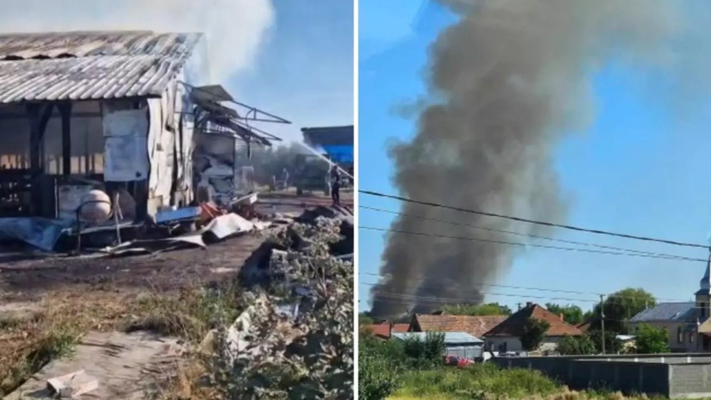 Incendiu la o fermă de bovine