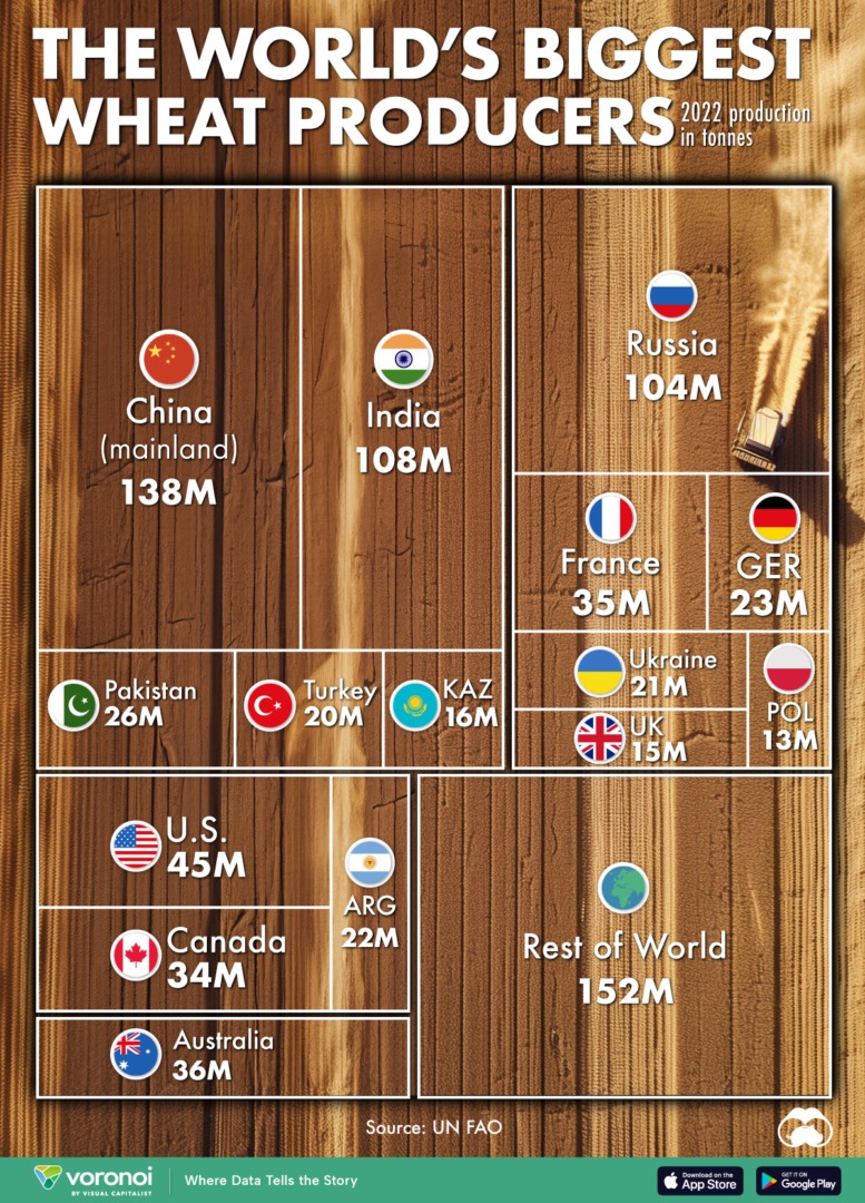 infografic, grau, productie, cereale