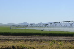 ghid, profit, gestionare apa, irigatii