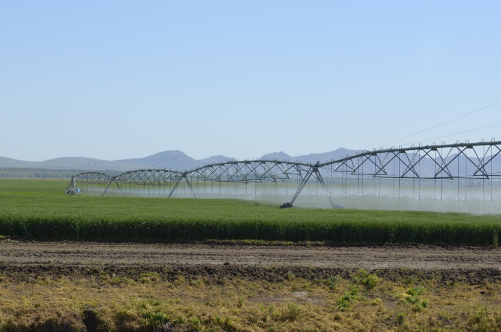 irigatii, afir, bani europeni, fermieri