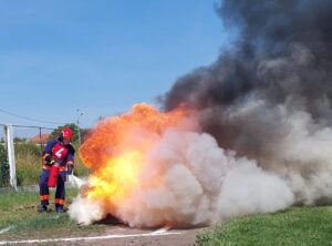 incendiu cadavre bovine