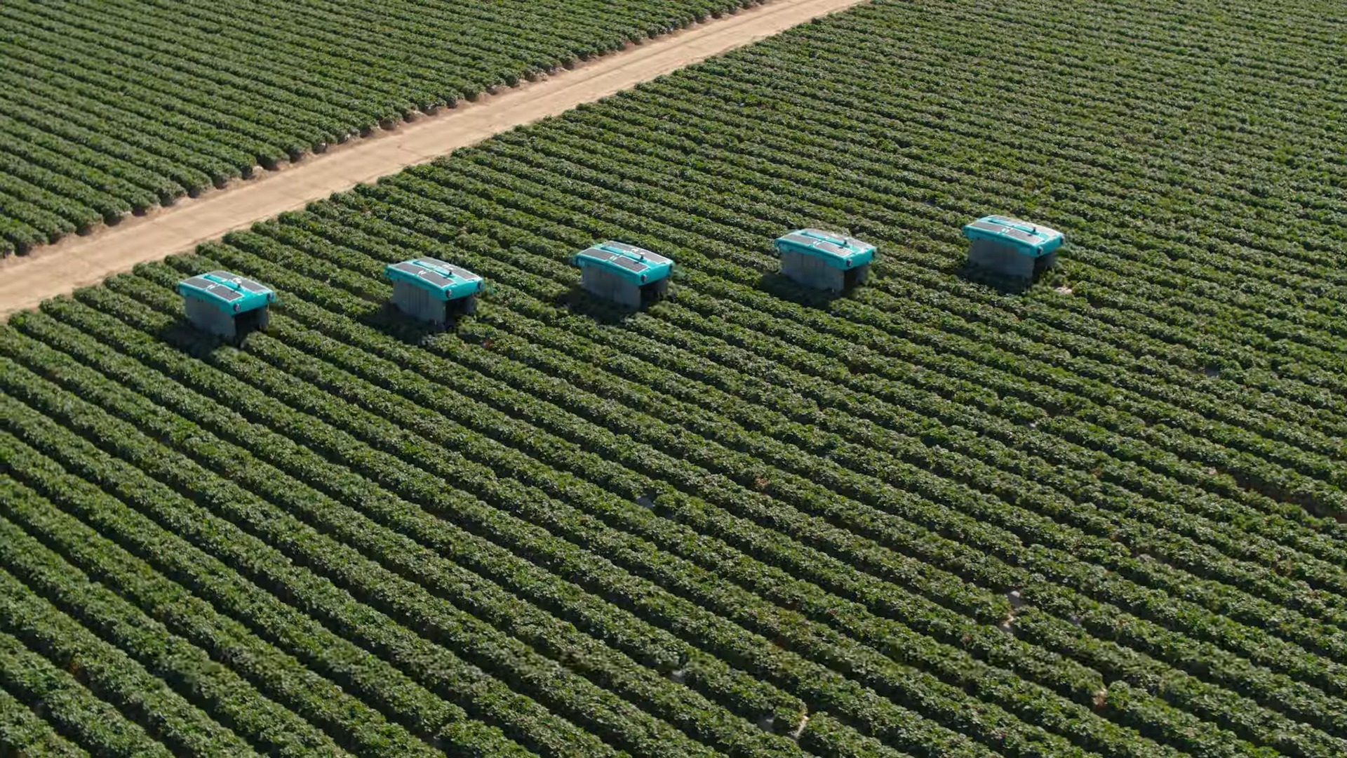 google, mineral, startup, inchidere