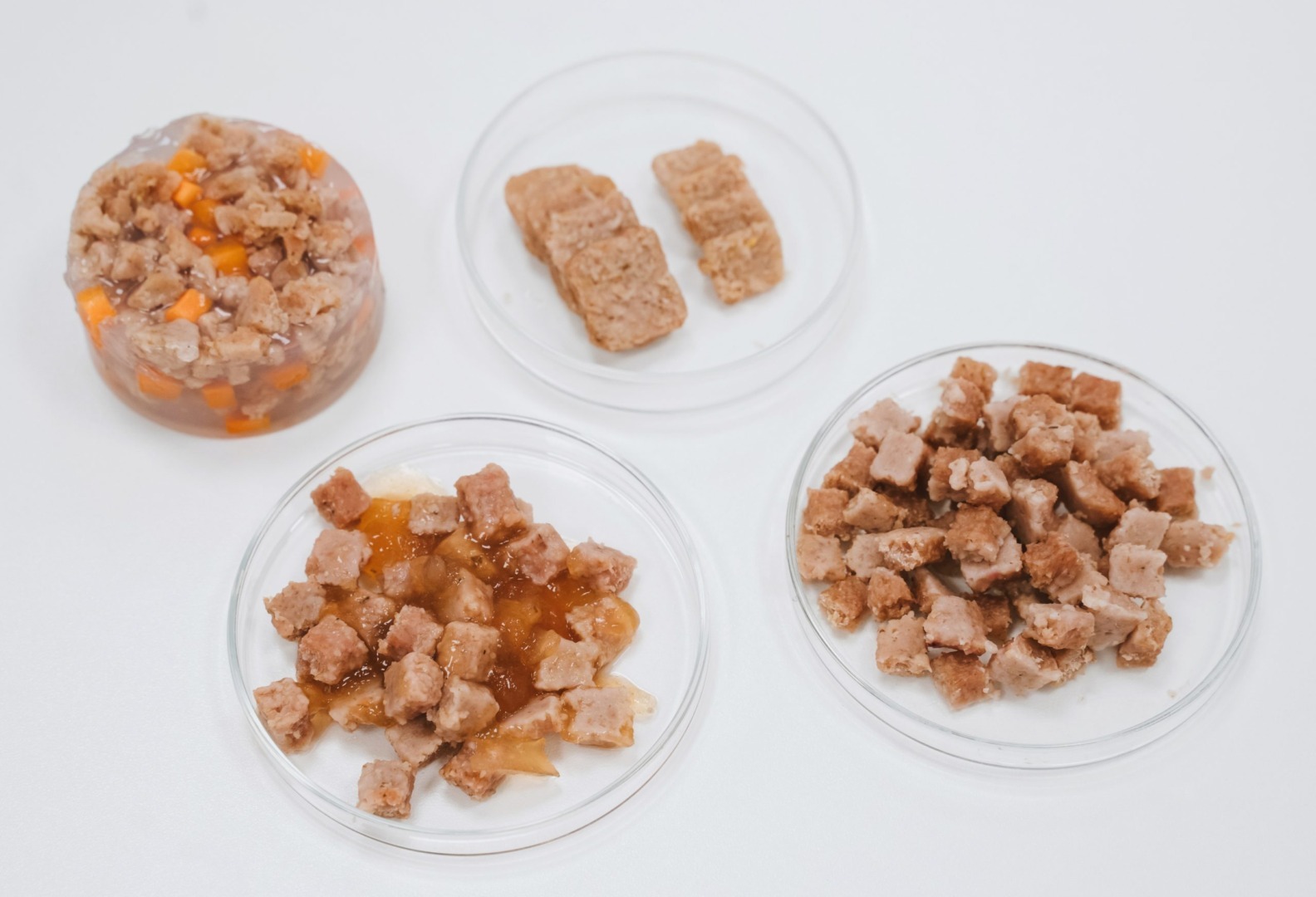 petfood carne de sinteza Cehia primul start up din lume Singapore Italia