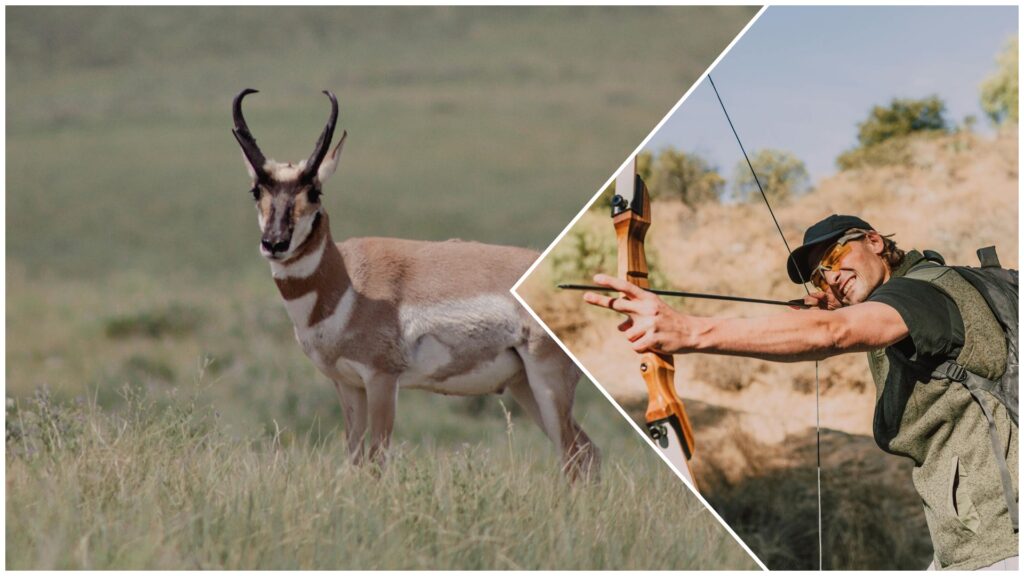 pufuleti cu branza, furaje, fabrica, pufuleti