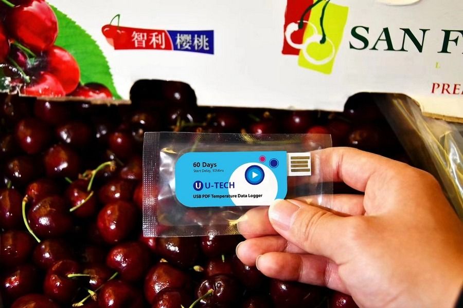 senzor, containere, temperatura, legume