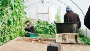 Italia, summit-ul G7, tineri, agricultura