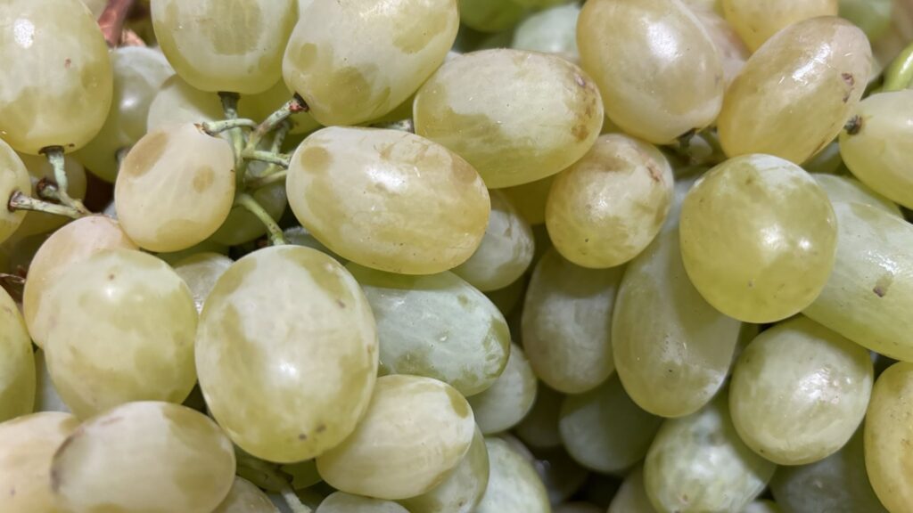 struguri de masa, Husi, Gheorghe Pascal