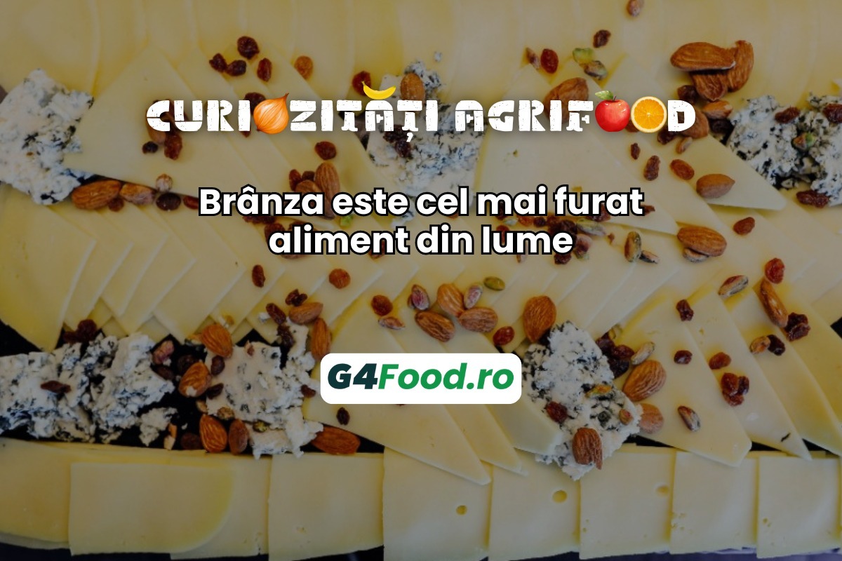 branza, aliment, furturi, curiozitati agrifood