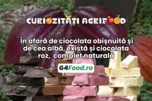 TN SITE- G4Food -ciocolata roz