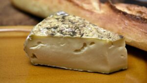 Salmonella, branza frantuzeasca, Franta