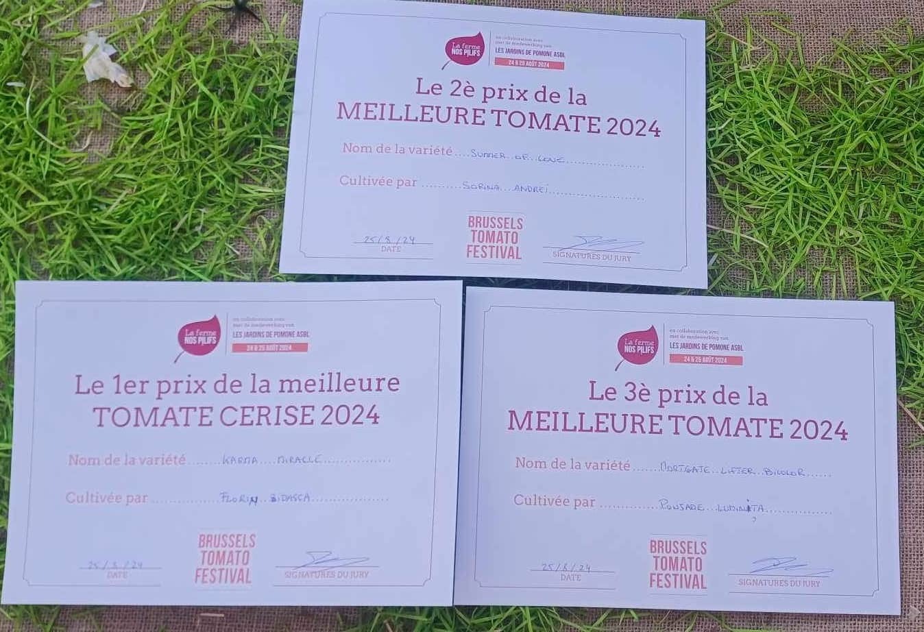 tomate, romani, concurs, bruxelles