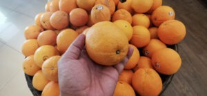 Portocale din Egipt cu rezidurii de pesticdee peste nivelul maxim admis.