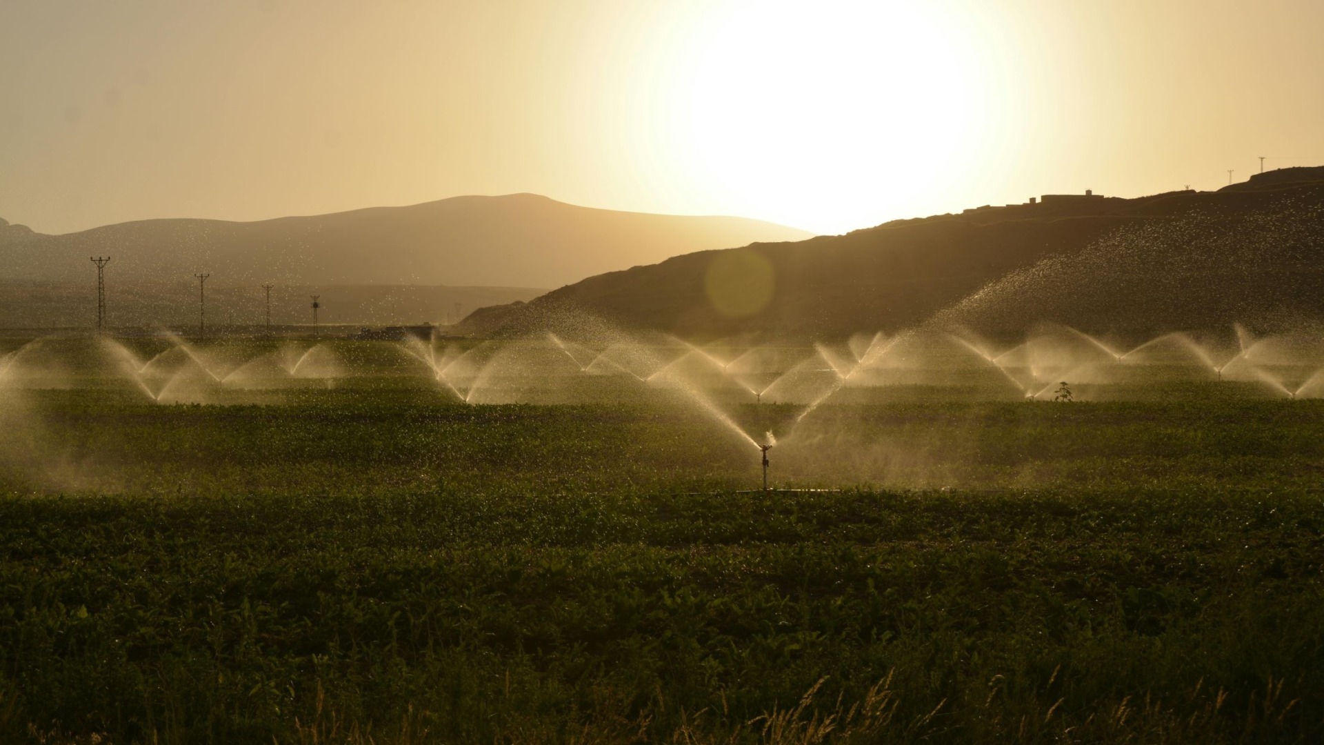 apa irigatii, Apele Romane, agricultura, ape subterane