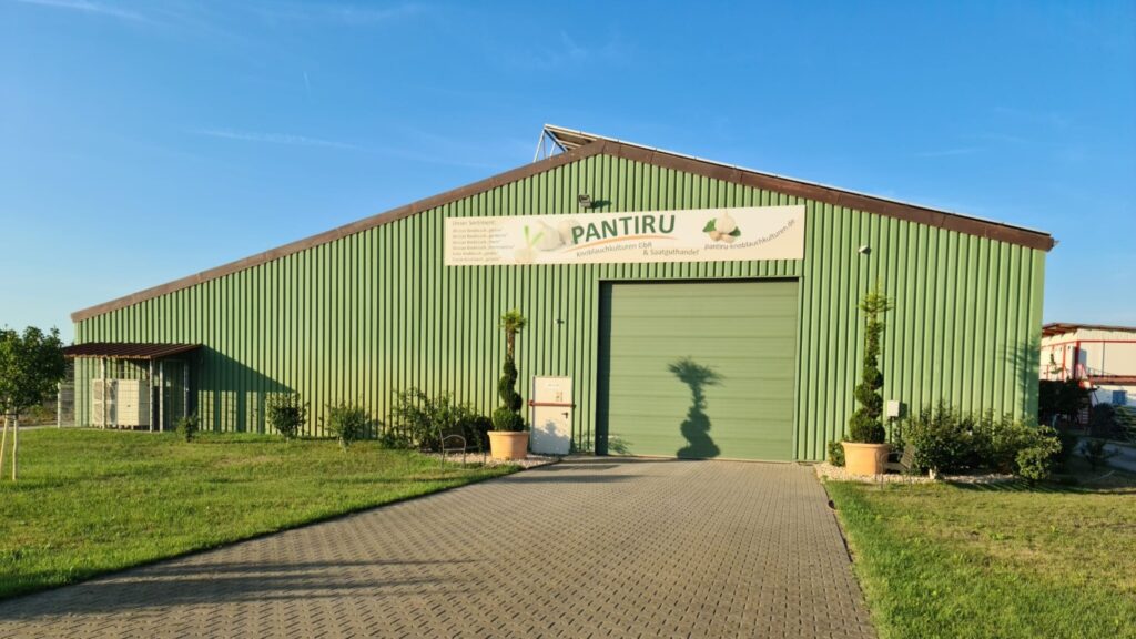 Germania, Ciprian Panțîru, usturoi