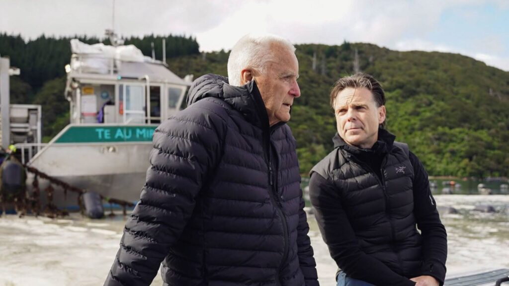 Noua Zeelanda, midia cu buze verzi, gastronomie, fructe de mare 