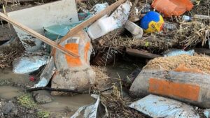 inundatii, Galati, animale