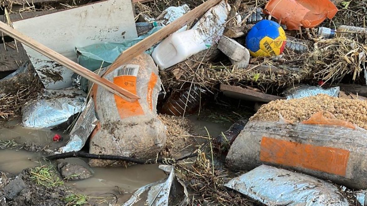 inundatii, Galati, animale