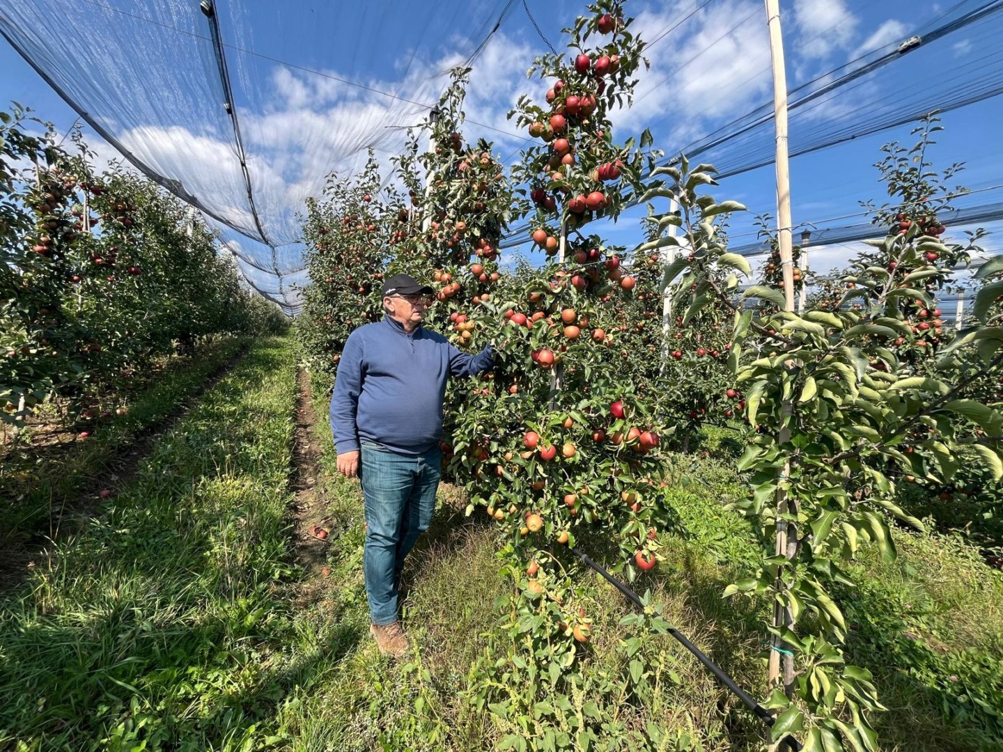 Octavian Drîgan este proprietarul fermei cu istorie