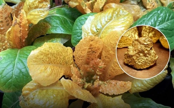 Sursa foto: Instagram o23productions