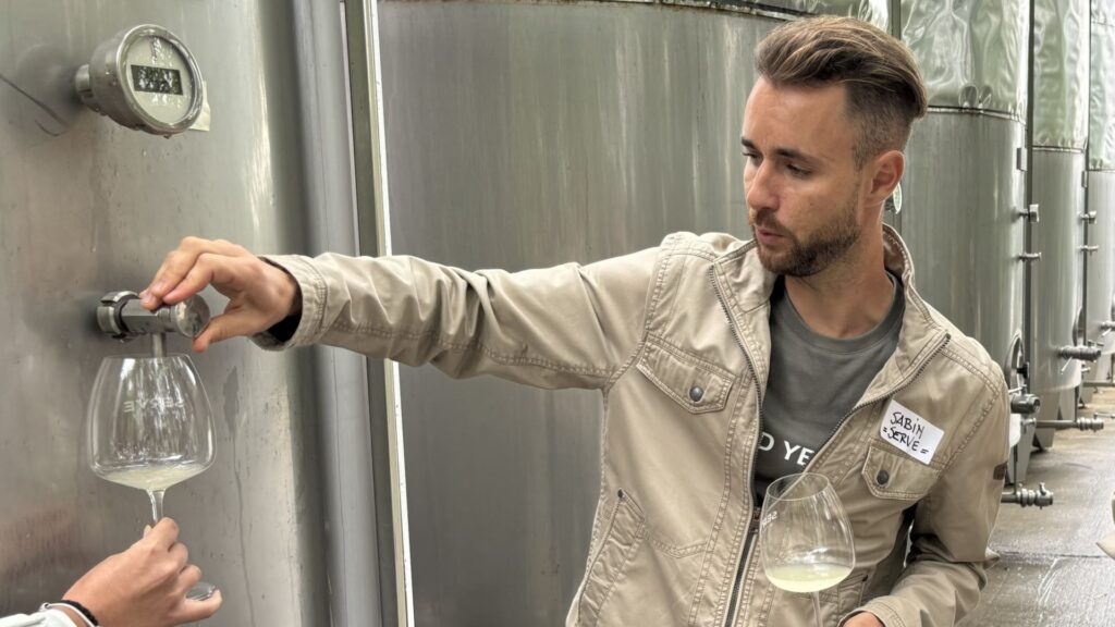 vin, Dealu Mare, SERVE, Sabin Baniță