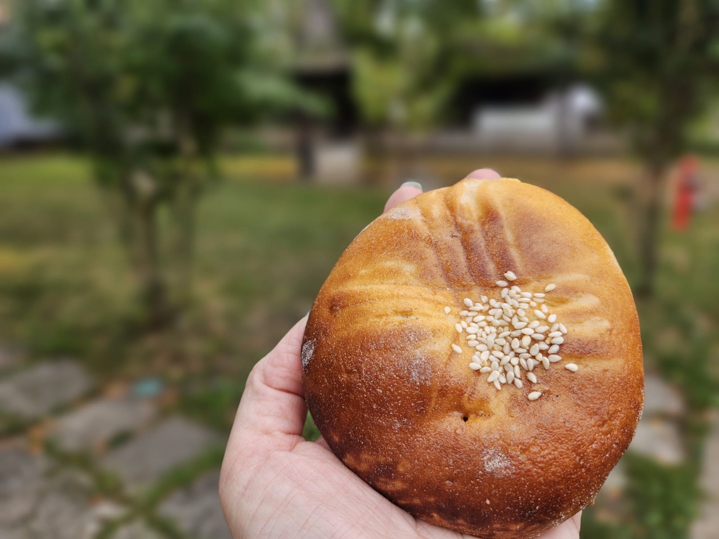 Pâinici persane cu șofran / Sursa foto: G4Food