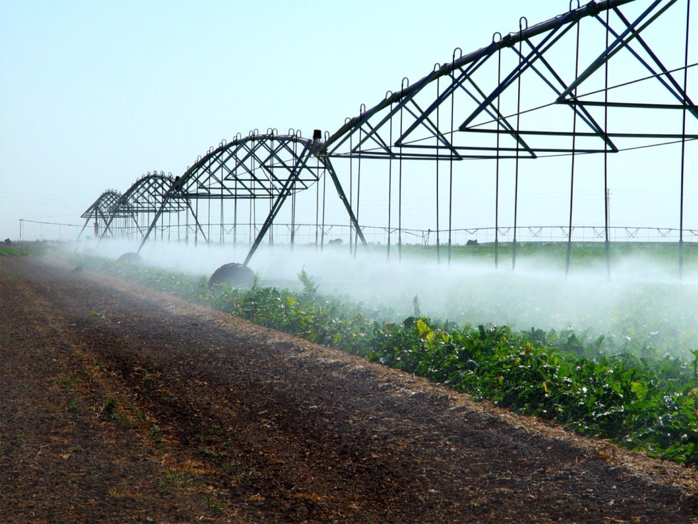 irigatii, fermieri, afir, bani europeni