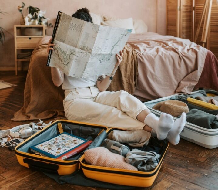 avion, zbor, ziua recunoștinței, preparate