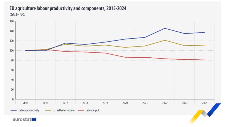 Sursa foto: Eurostat