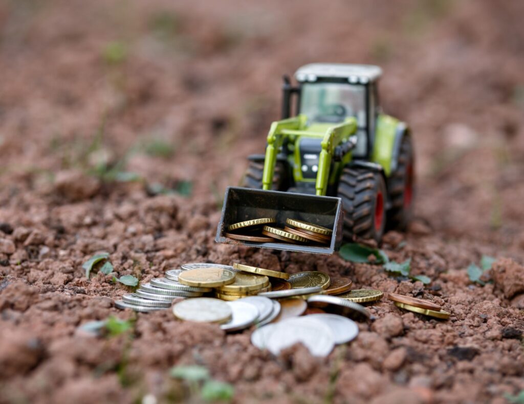 sprijin tineri fermieri