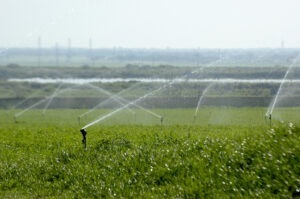 seceta-creste-pretul-terenurilor-irigabile-sau-compacte