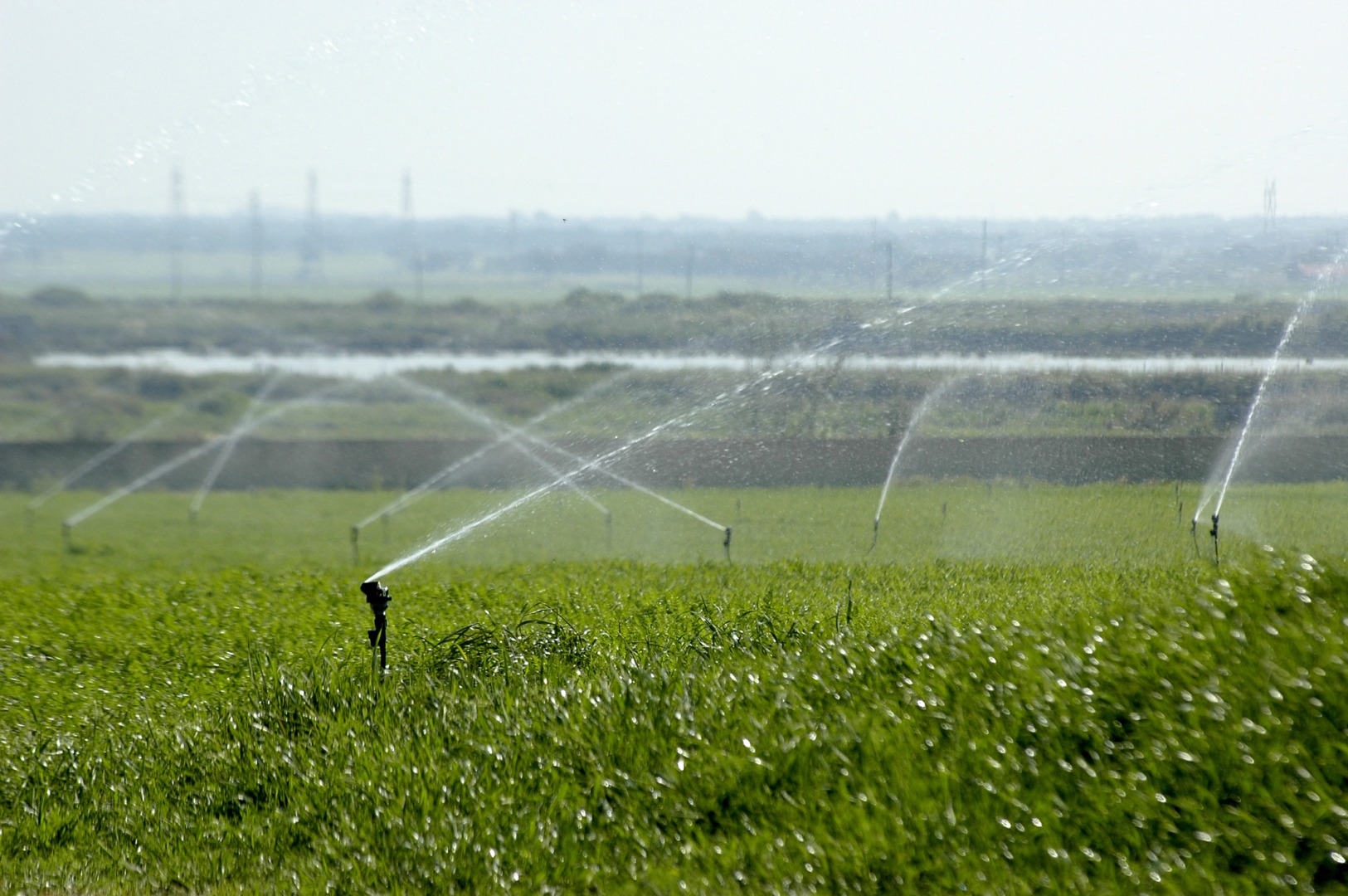 seceta-creste-pretul-terenurilor-irigabile-sau-compacte