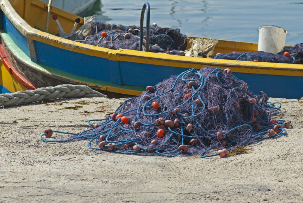 modernizare port midia anuntata de ministerul agriculturii