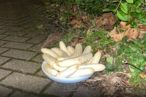 farfurie cu banane UK