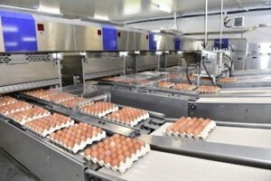 AFIR unitate prelucrare ouă