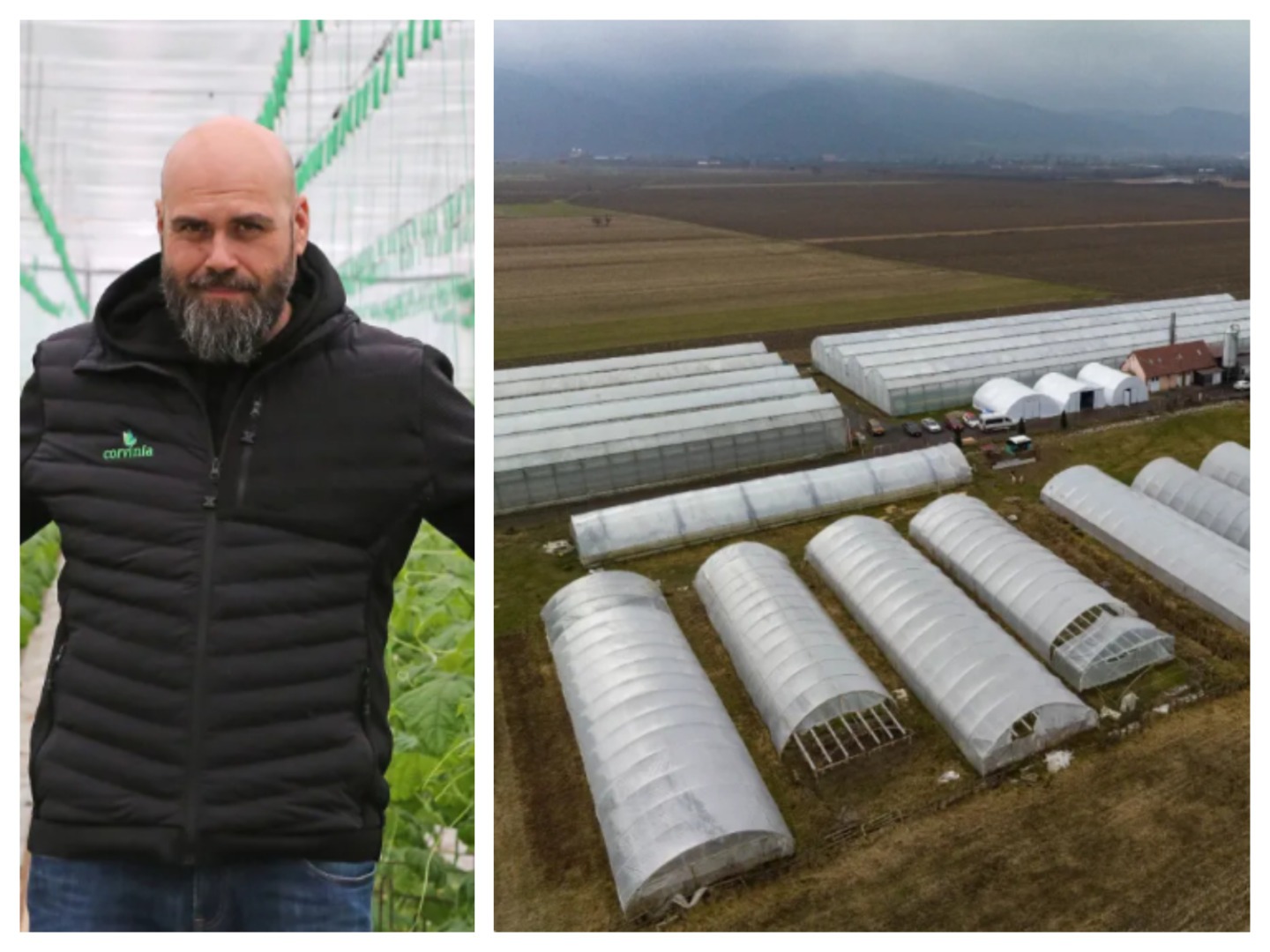 Sursa foto: colaj foto Revista Ferma