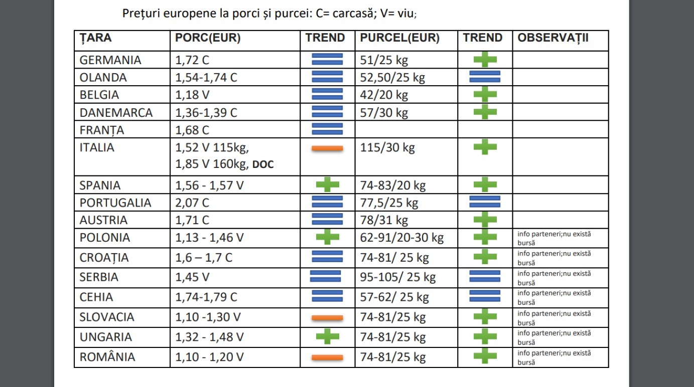 scroafa, purcelusi, brazilia, carne