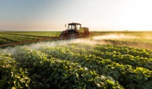 BEI va acorda imprumuturi pentru agricultura frnceza, in special tineri fermieri